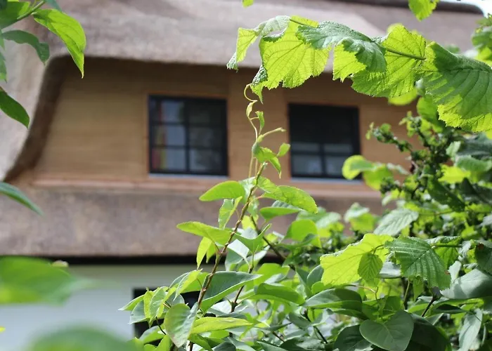 Haus Poehlde بيت للعطل Böhl